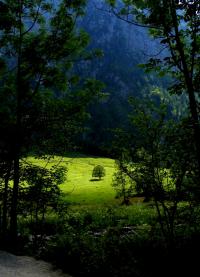 tags: Paisagem,natureza,verde,floresta

Königssee, Schönau, Alemanha