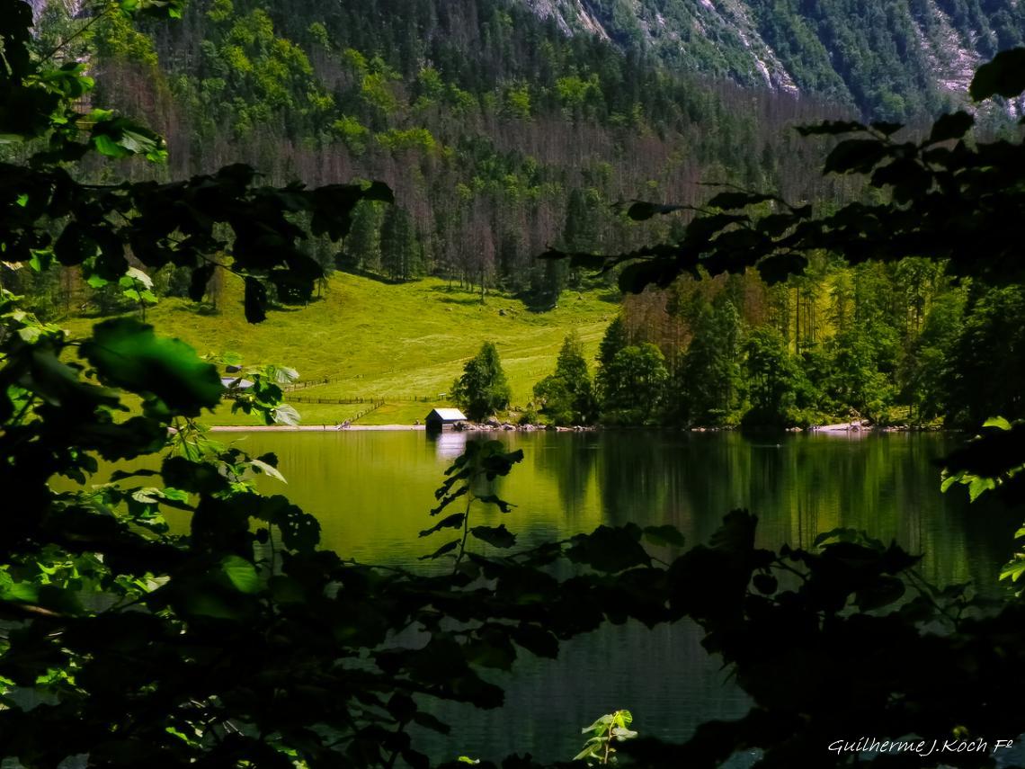 tags: logo,montanhas,verde,agua,natureza,floresta

K&ouml;nigssee, Sch&ouml;nau, Alemanha