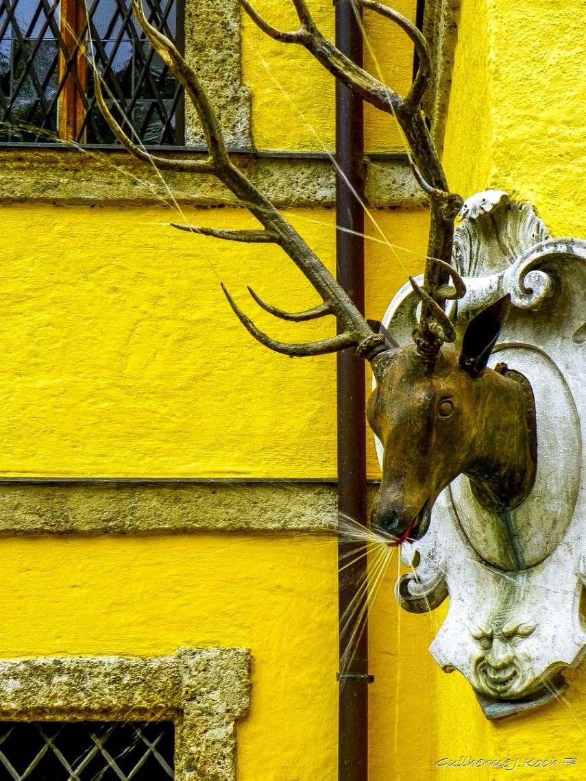 tags: 

Schloss Hellbrunn, Salzburg, &Aacute;ustria