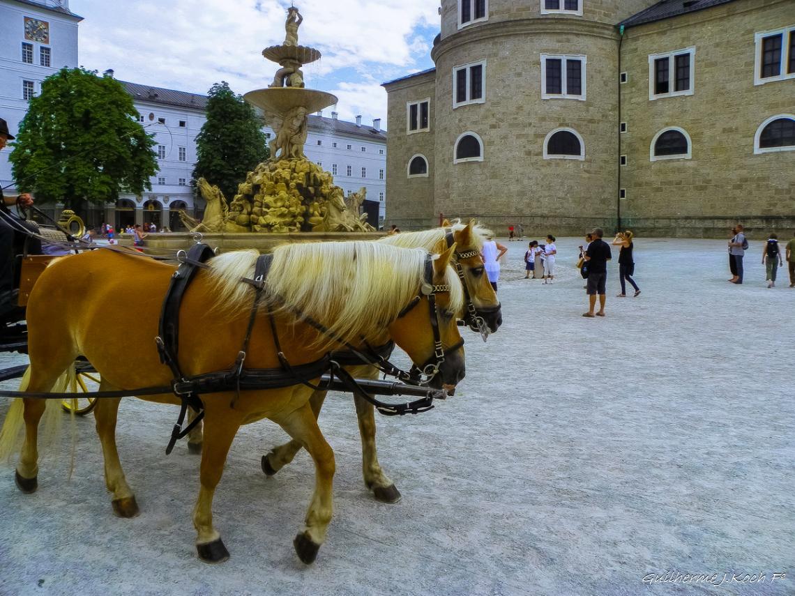 tags: 

Residenzplatz, Salzburg, &Aacute;ustria