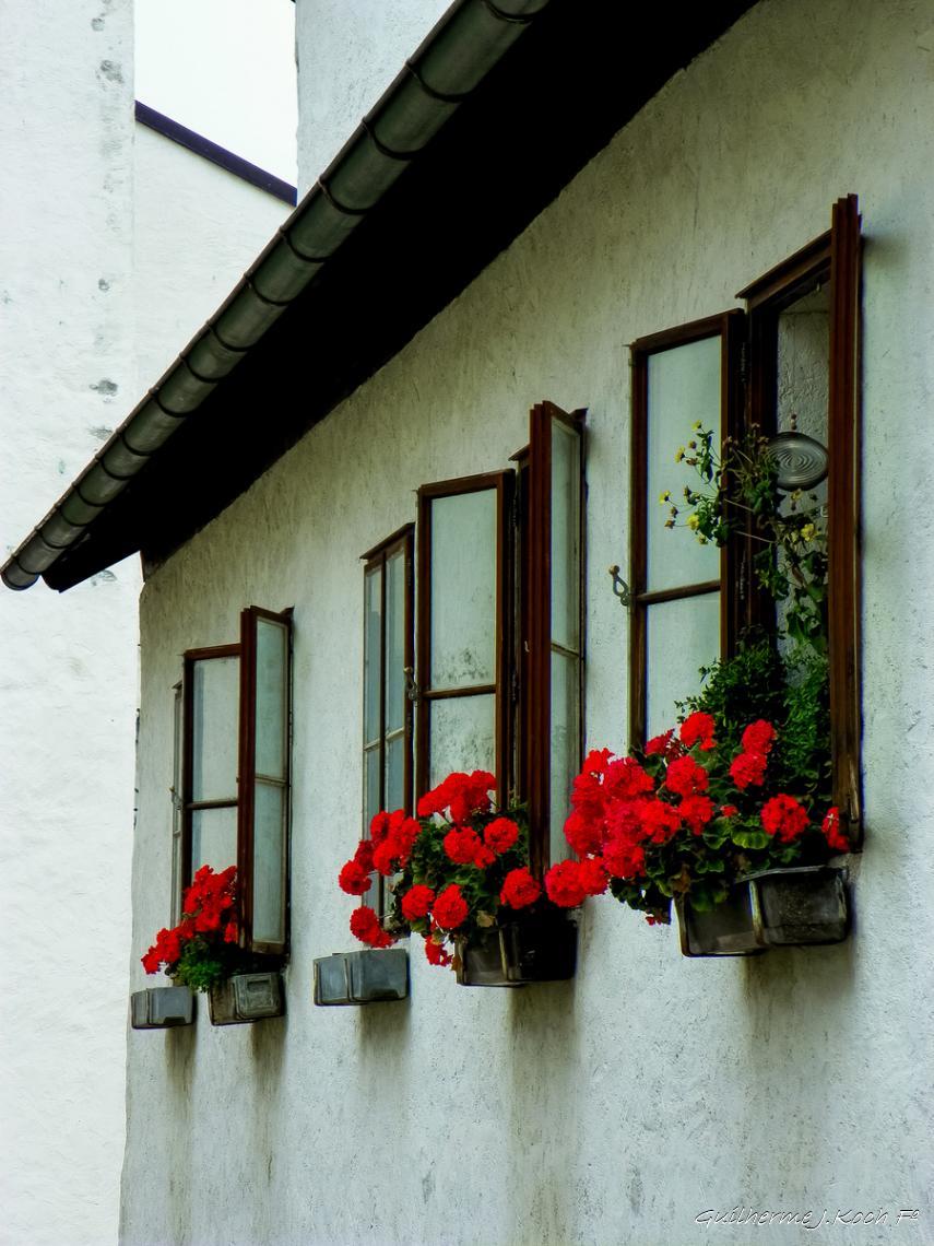 tags: 

Fortaleza de Hohensalzburg, Salzburg, &Aacute;ustria