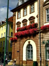 tags: Arquitetura,janelas,flores

Heidelberg, Alemanha