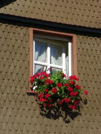 tags: Arquitetura,janelas,flores

Heusenstamm, Alemanha