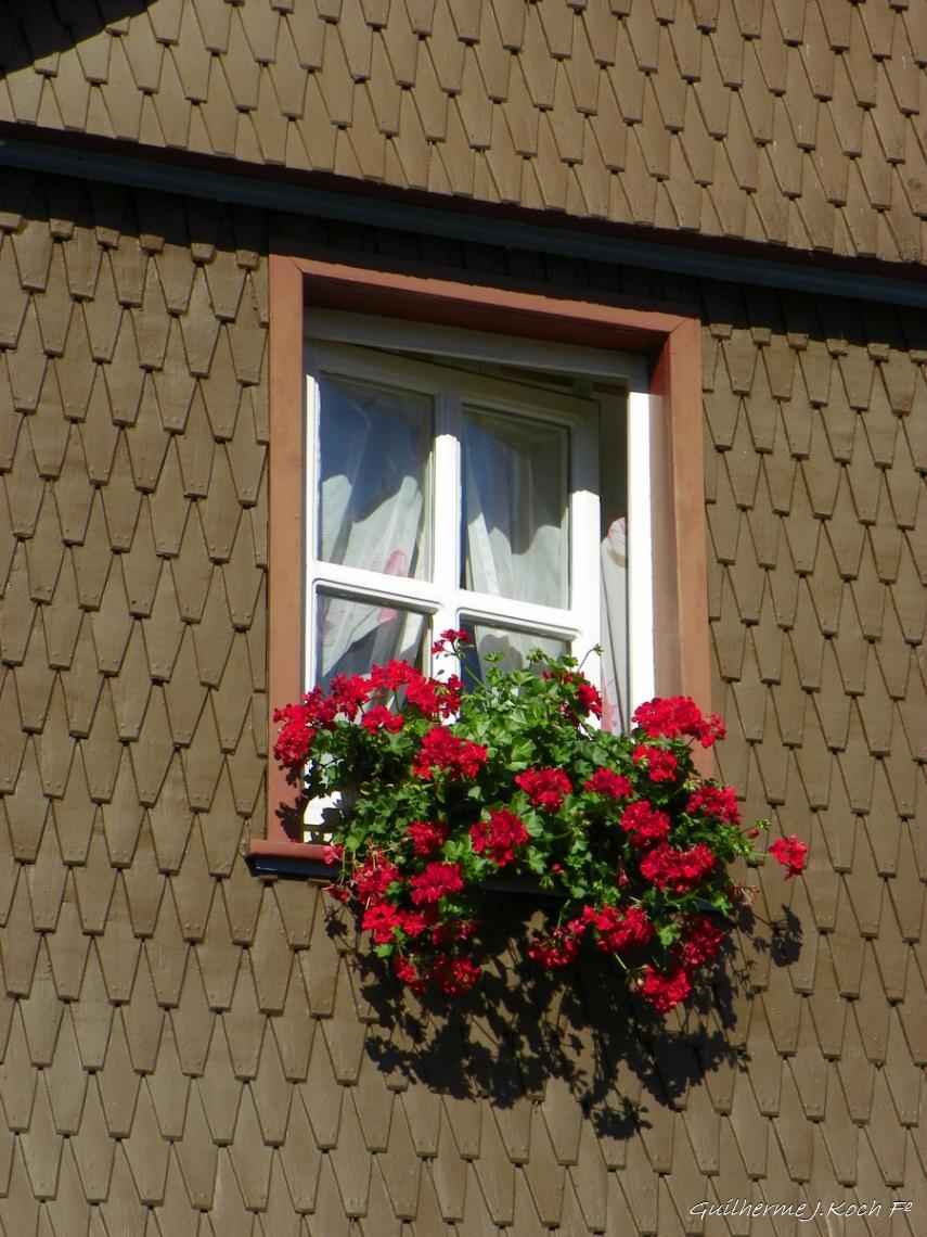 tags: Arquitetura,janelas,flores

Heusenstamm, Alemanha