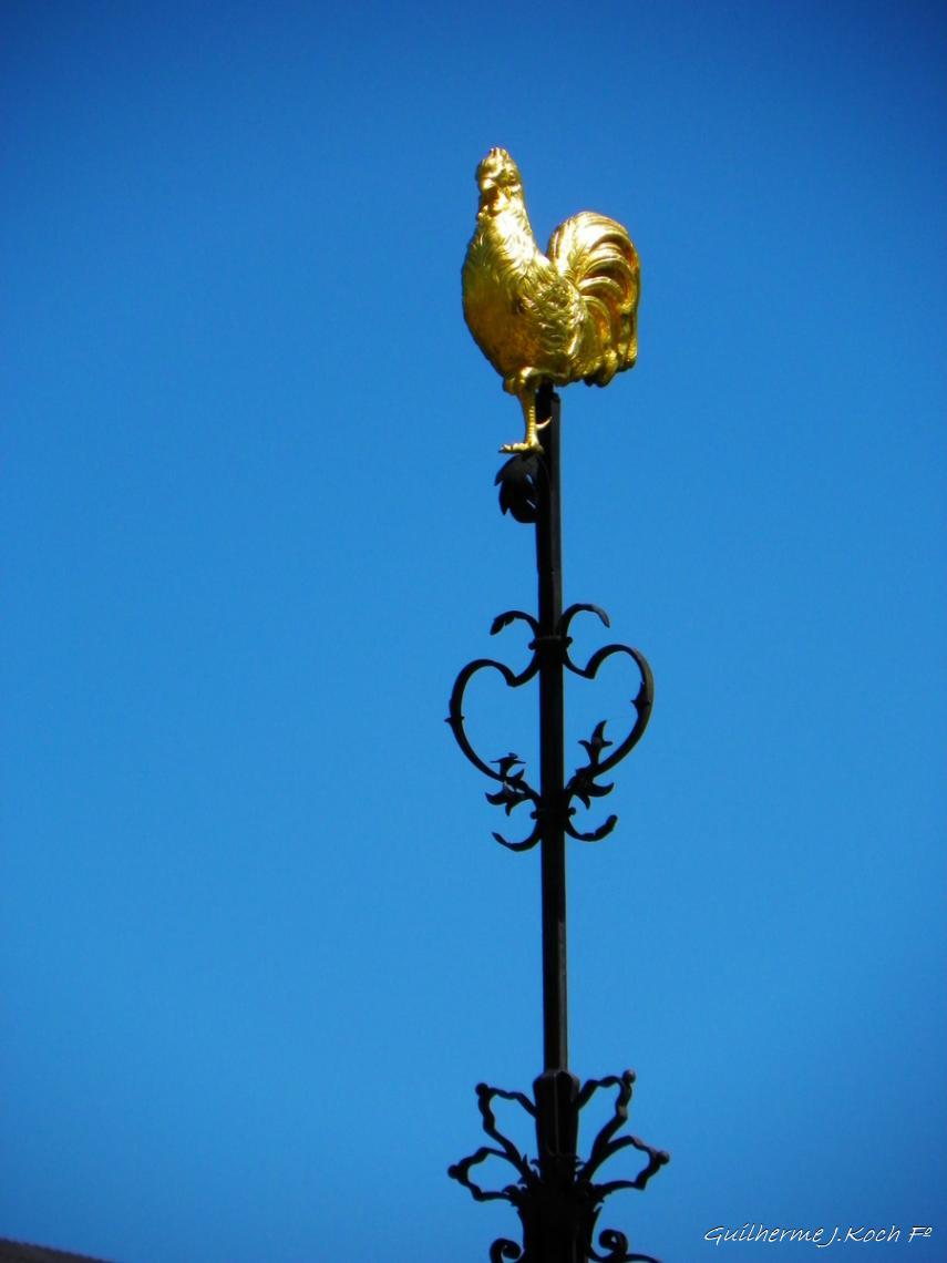 tags: monumento,estatua,galo

Galo da ponte de Frankfurt, Alemanha