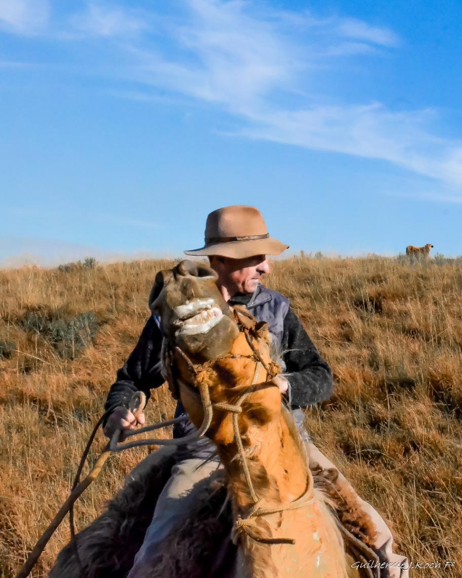 tags: brasil,serra ga&uacute;cha,ginete,cavalo

Senhorio da Pousada Recanto dos Amigos