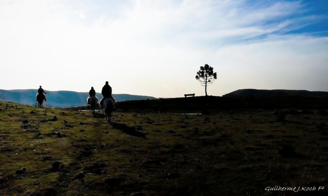 tags: natureza,serra ga&uacute;cha,brasil,cavalgada,pinheiro,araucaria

Cambar&aacute; do Sul - RS, Brasil