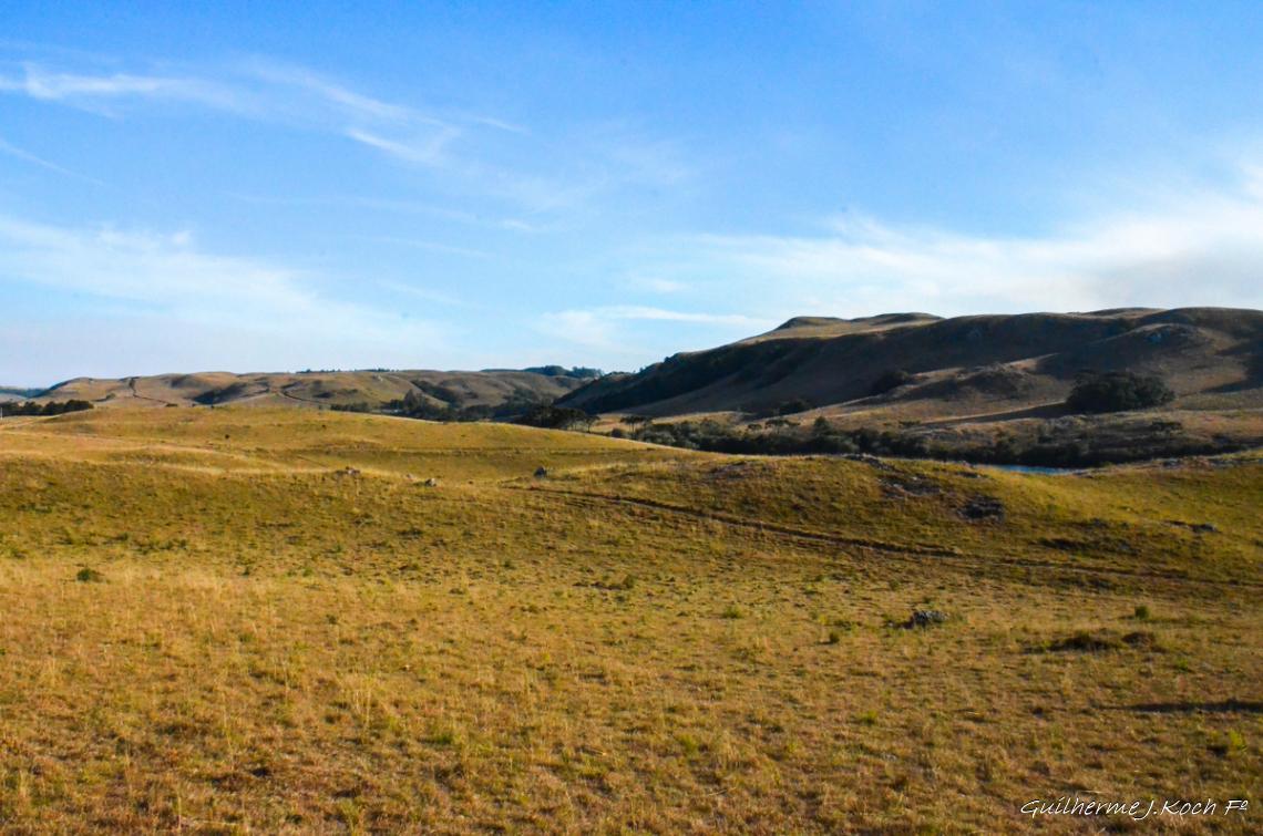 tags: campos,natureza,brasil

Cambar&aacute; do Sul - RS, Brasil