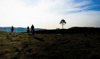 tags: natureza,serra gaúcha,brasil,cavalgada,pinheiro,araucaria

Cambará do Sul - RS, Brasil