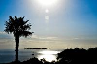 tags: mar,plameira,sol,reflexo,ilha

Colonia Del Sacramento, Uruguai