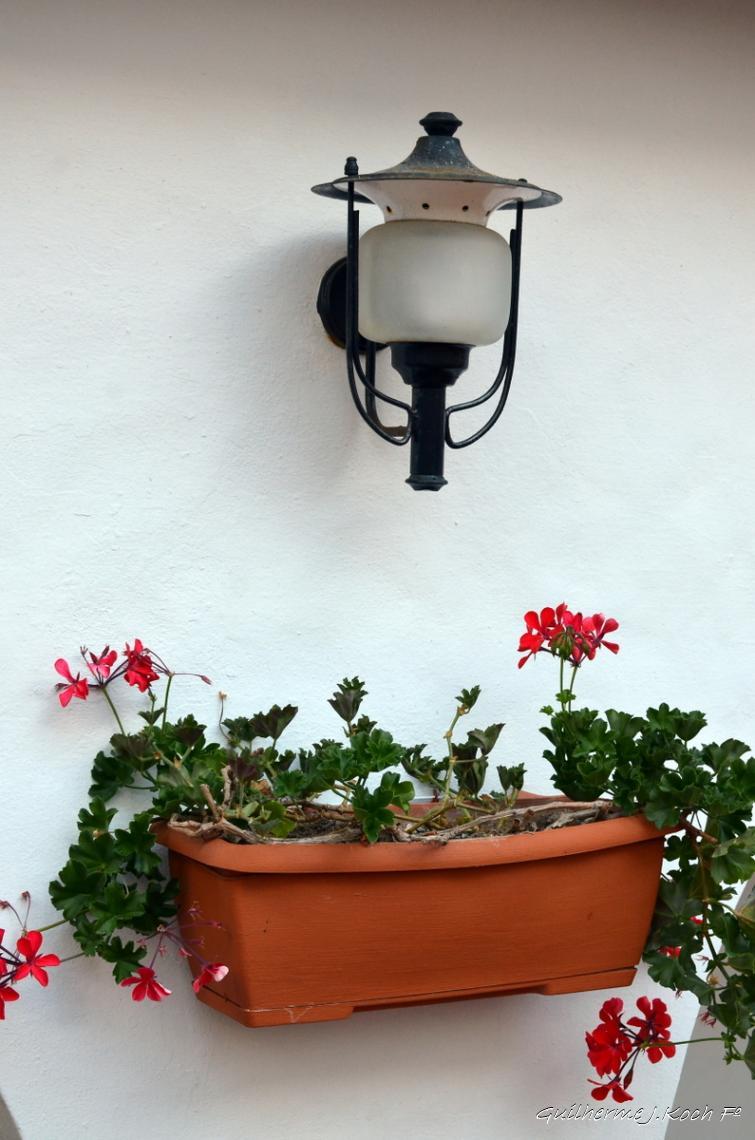 tags: museu,flores,luminaria,vermelho

Museu Ralli, Punta del Este,  Maldonado, Uruguai