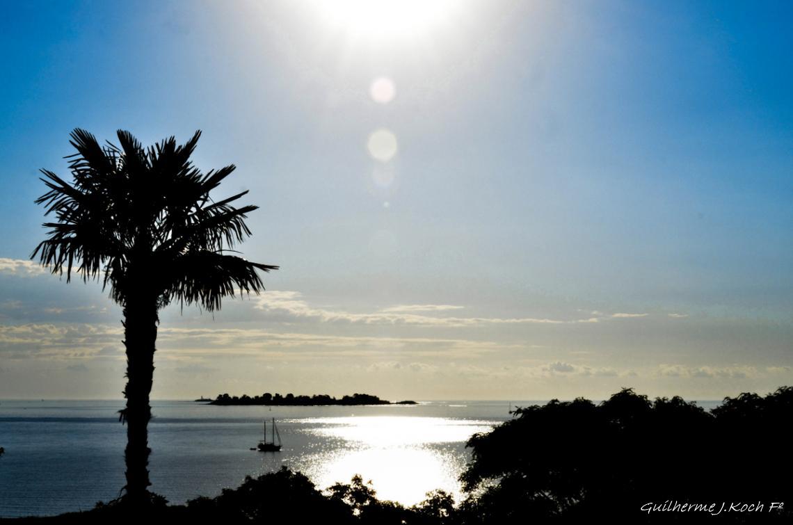 tags: mar,plameira,sol,reflexo,ilha

Colonia Del Sacramento, Uruguai