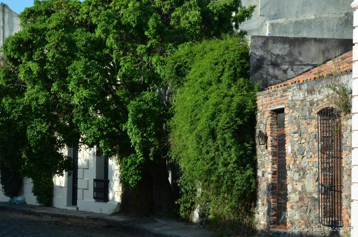 tags: Arquitetura,hist&oacute;ria

Colonia Del Sacramento, Uruguai