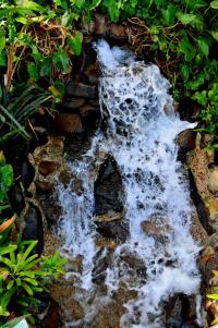 tags: agua,cachoeira,natureza

Jardim Botânico, Curitiba, PR, Brasil