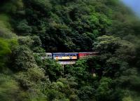 tags: natureza,serra,trem,verde

Serra do Mar, PR, Brasil, de trem de Curitiba a Morretes