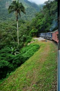 tags: natureza,trem,verde

Serra do Mar, PR, Brasil, de trem de Curitiba a Morretes
