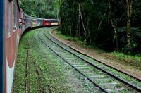 tags: Trem,natureza

Serra do Mar, PR, Brasil, de trem de Curitiba a Morretes