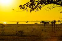tags: amanhecer,amarelo,paisagem,natureza

Amanhecer em Maquiné, RS, Brasil