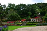tags: Parque,Flores,natureza,colorido

Parque das Lavandas - Gramado RS
