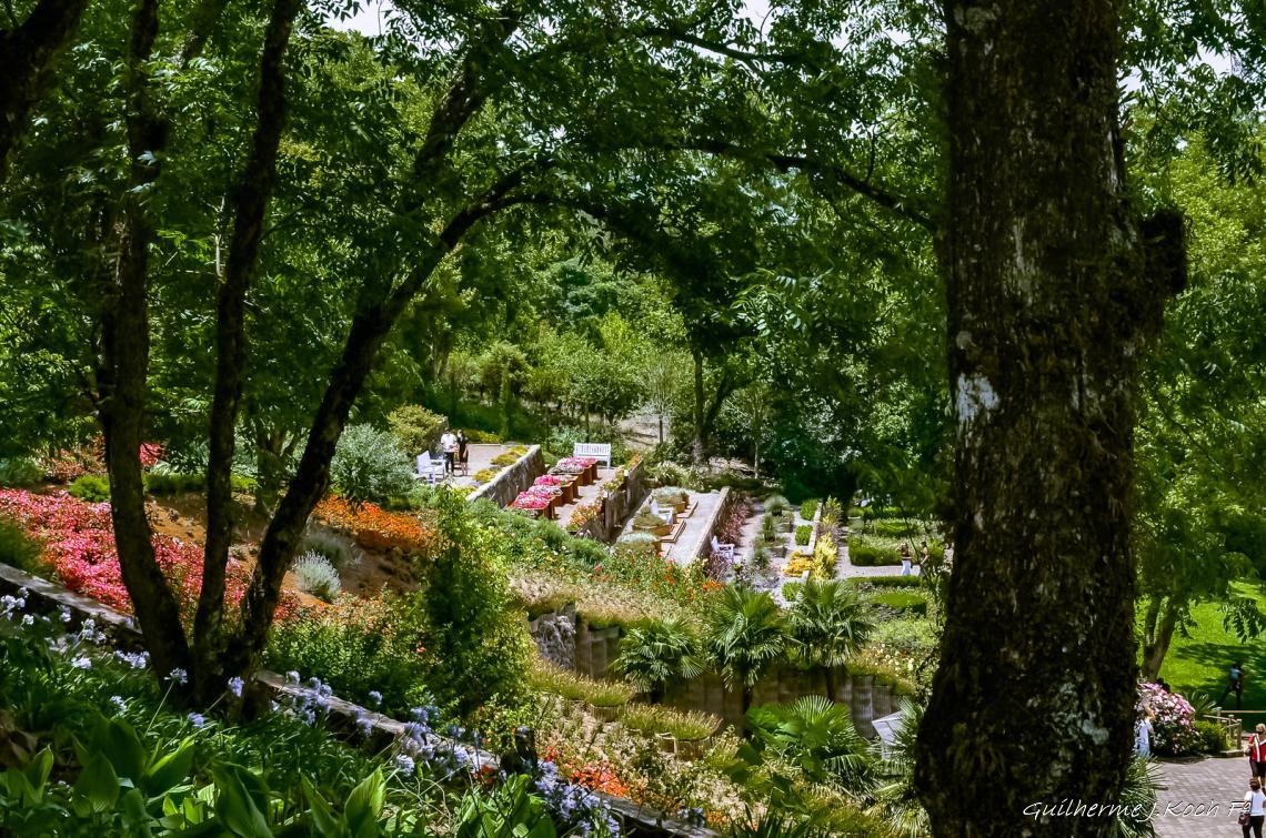 tags: Parque,Flores,natureza,colorido

Parque das Lavandas - Gramado RS