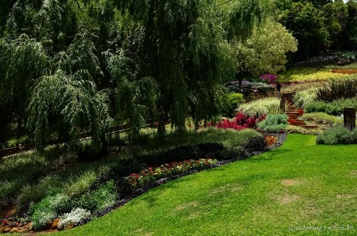 tags: Parque,Flores,natureza,colorido

Parque das Lavandas - Gramado RS