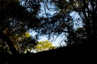 tags: natureza,paisagem,mata

Chácara do forte - Caçapava do Sul - RS - Brasil