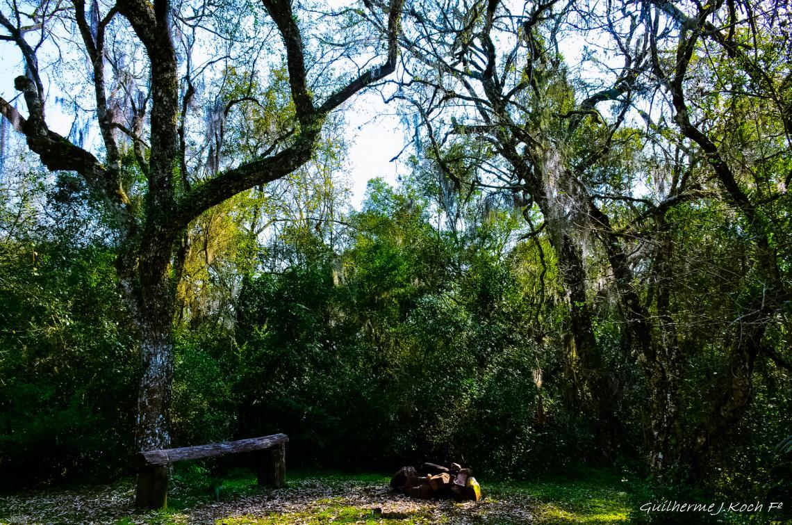 tags: paisagem,morros,natureza,floresta,mata,grutas

Parque Natural M. Pedra do Segredo - Ca&ccedil;apava do Sul - RS - Brasil