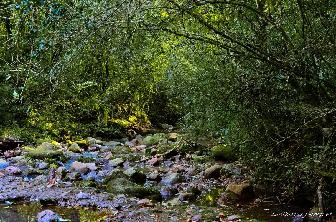 tags: paisagem,morros,natureza,floresta,mata,grutas

Parque Natural M. Pedra do Segredo - Ca&ccedil;apava do Sul - RS - Brasil
