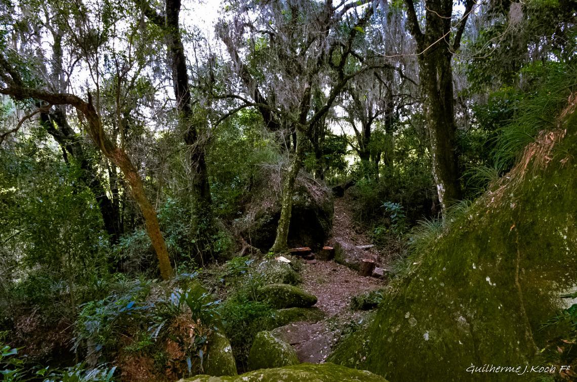 tags: paisagem,morros,natureza,floresta,mata,grutas

Parque Natural M. Pedra do Segredo - Ca&ccedil;apava do Sul - RS - Brasil