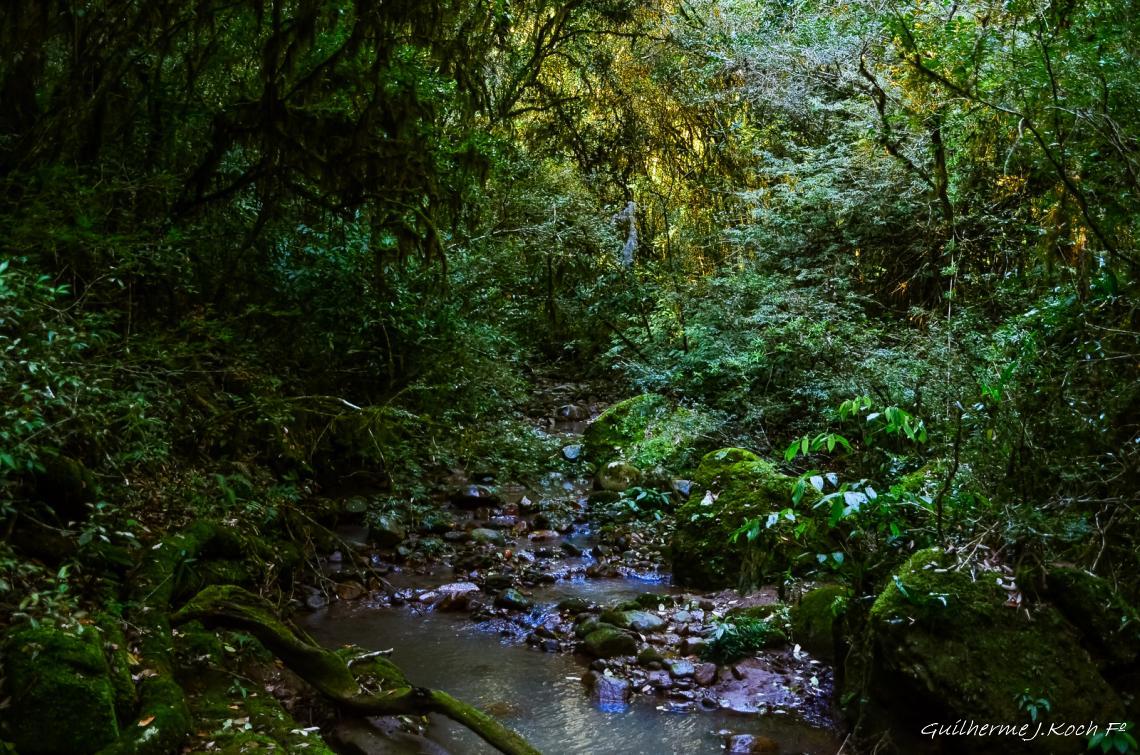 tags: paisagem,morros,natureza,floresta,mata

Parque Natural M. Pedra do Segredo - Ca&ccedil;apava do Sul - RS - Brasil