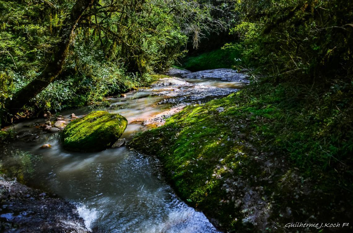 tags: paisagem,morros,natureza,floresta,mata

Parque Natural M. Pedra do Segredo - Ca&ccedil;apava do Sul - RS - Brasil
