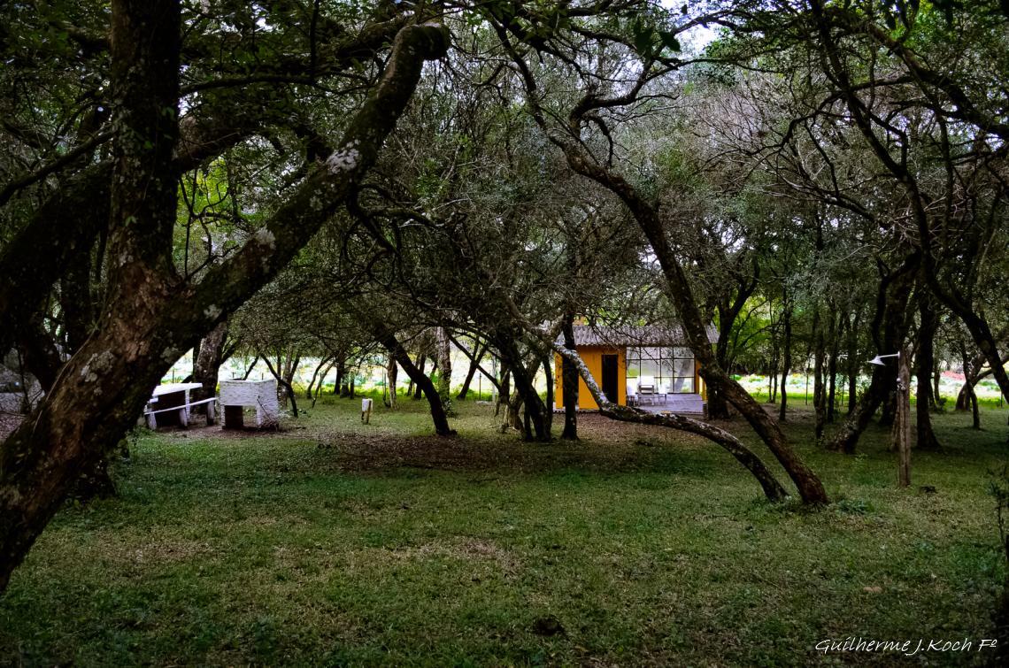 tags: natureza,posada

Camping da Pousada Ch&aacute;cara do forte - Ca&ccedil;apava do Sul - RS - Brasil