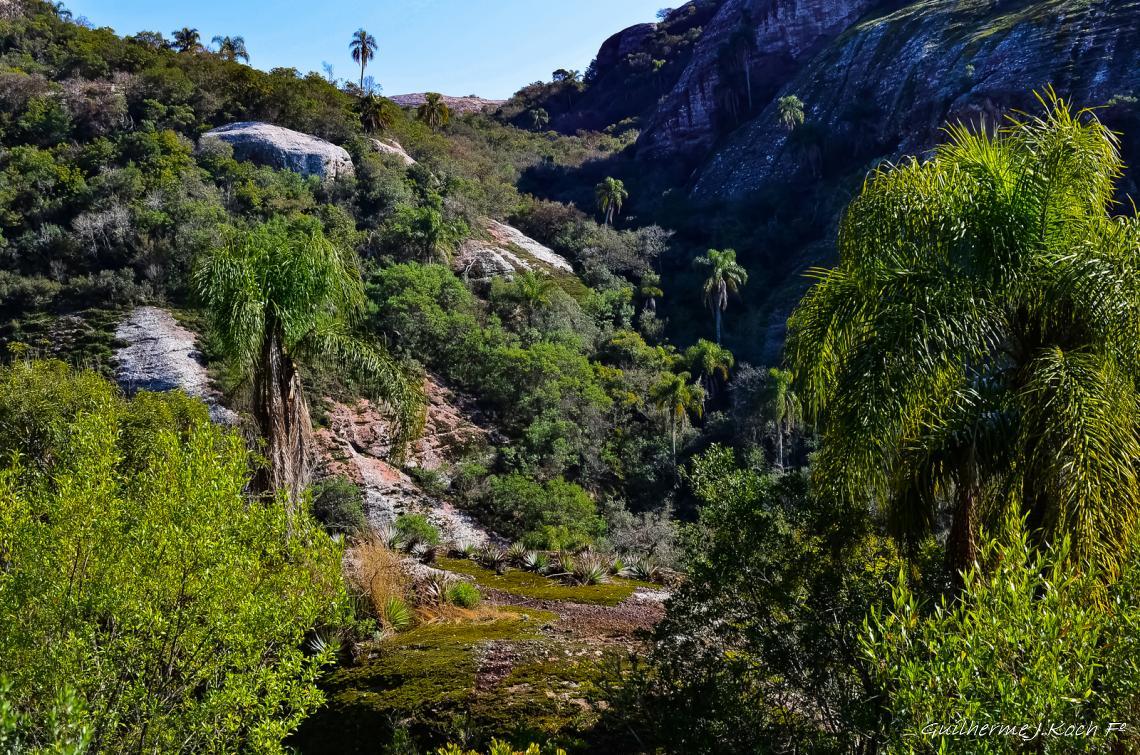 tags: natureza,paisagem,mata,morros

Rinc&atilde;o do Inferno - Ca&ccedil;apava do Sul - RS - Brasil