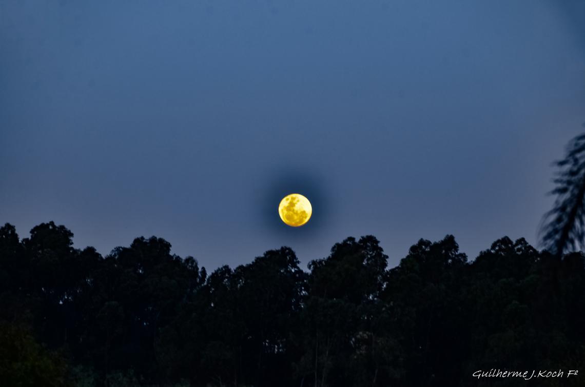 tags: lua,anoitecer

Anoitecer em Ca&ccedil;apava do Sul - RS - Brasil