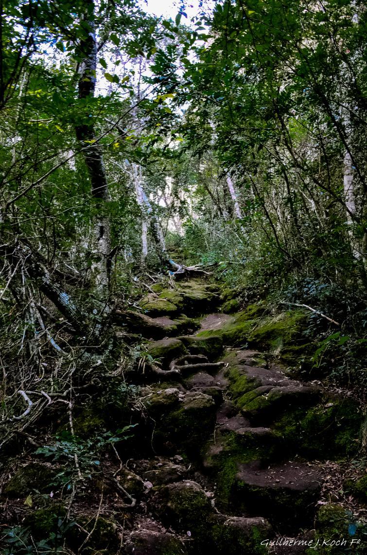 tags: paisagem,morros,natureza,floresta,mata,grutas

Parque Natural M. Pedra do Segredo - Ca&ccedil;apava do Sul - RS - Brasil